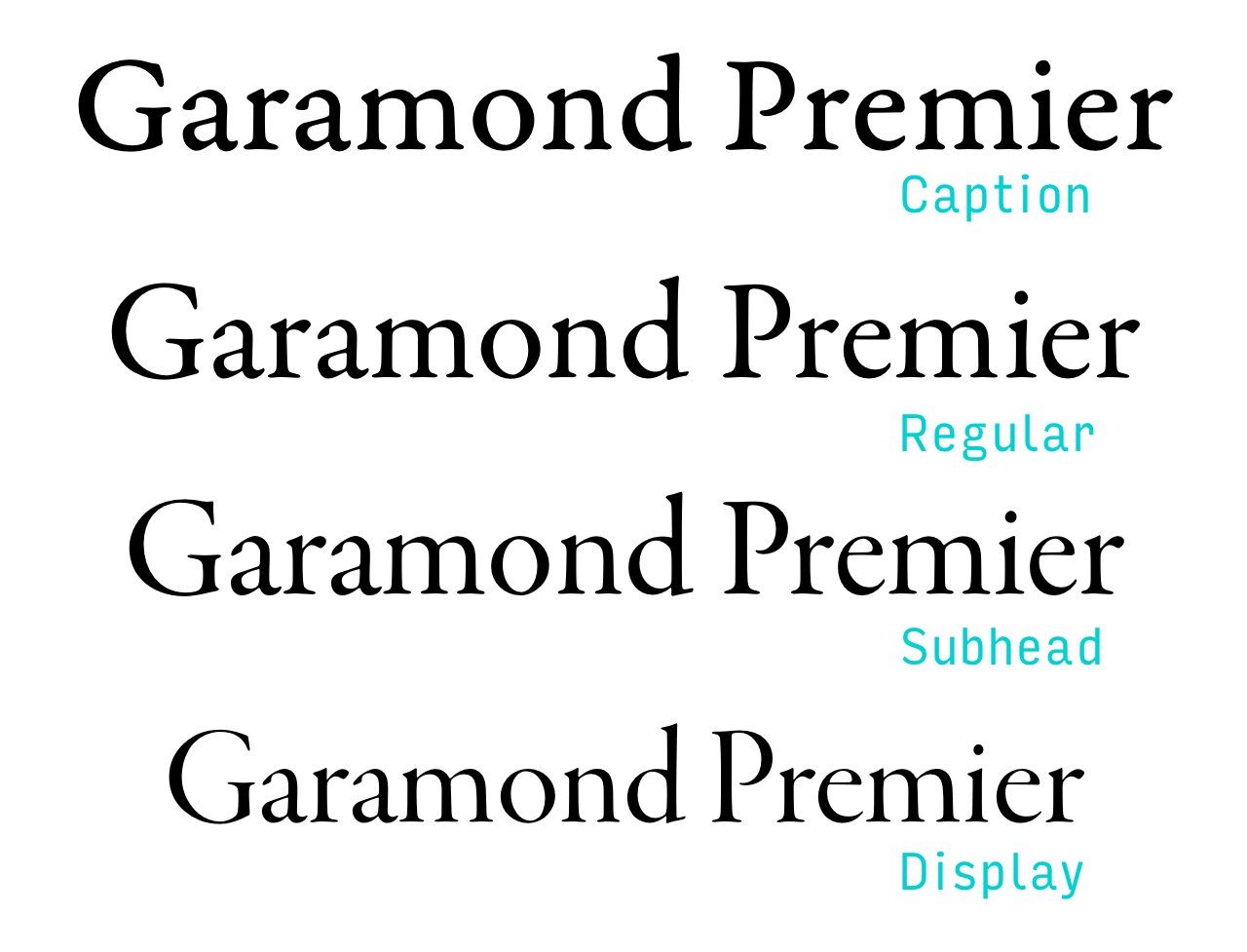 Odmiany optyczne w foncie (Garamond Premier)